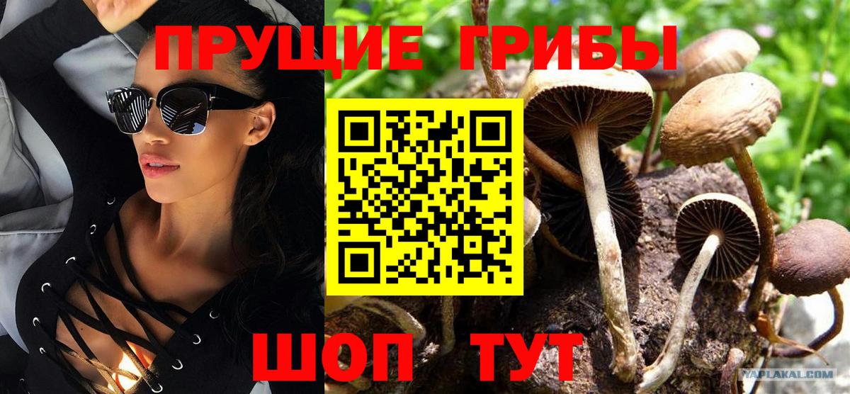 Псилоцибиновые грибы GOLDEN TEACHER  Вход с VPN  Нарткала 