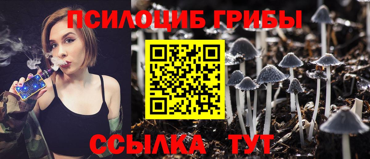Галлюциногенные грибы Psilocybe Нарткала